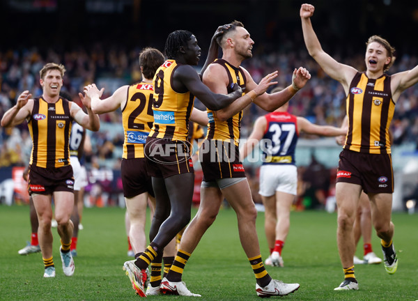 AFL 2025 Round 23 - Hawthorn v Melbourne - A-61421144