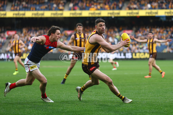 AFL 2025 Round 23 - Hawthorn v Melbourne - A-61421145