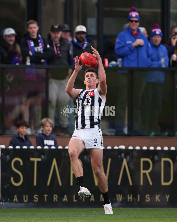 VFL 2025 Round 21 - Port Melbourne v Collingwood - A-61421161