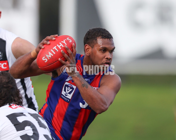 VFL 2025 Round 21 - Port Melbourne v Collingwood - A-61421163