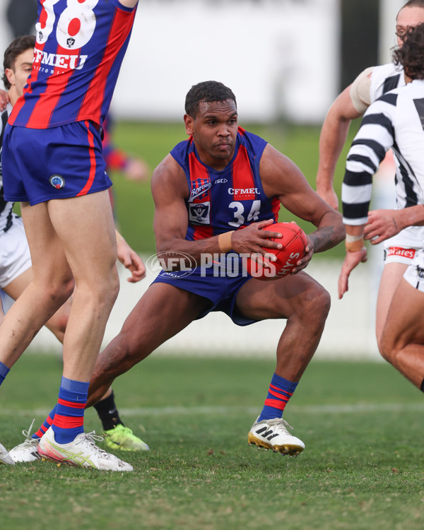 VFL 2025 Round 21 - Port Melbourne v Collingwood - A-61421164