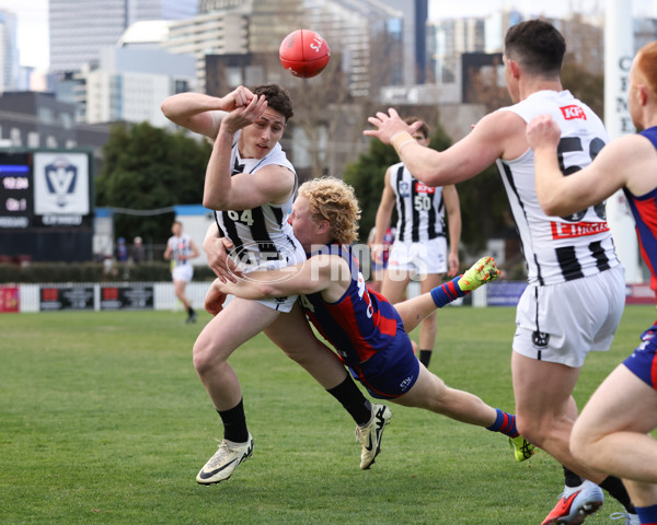 VFL 2025 Round 21 - Port Melbourne v Collingwood - A-61421167