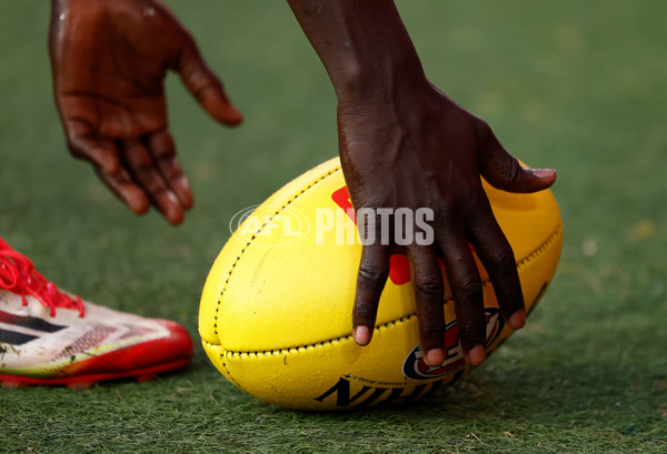 AFL 2025 Round 23 - Hawthorn v Melbourne - A-61421182