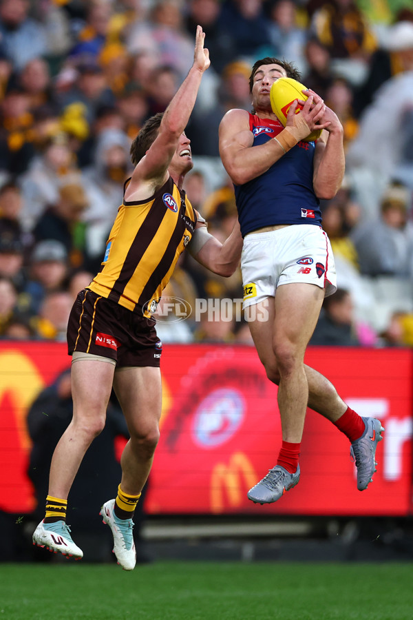 AFL 2025 Round 23 - Hawthorn v Melbourne - A-61421187