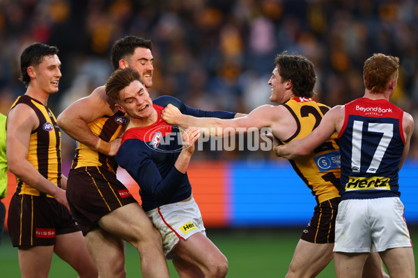 AFL 2025 Round 23 - Hawthorn v Melbourne - A-61421191