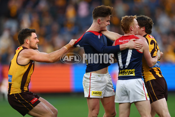 AFL 2025 Round 23 - Hawthorn v Melbourne - A-61421192