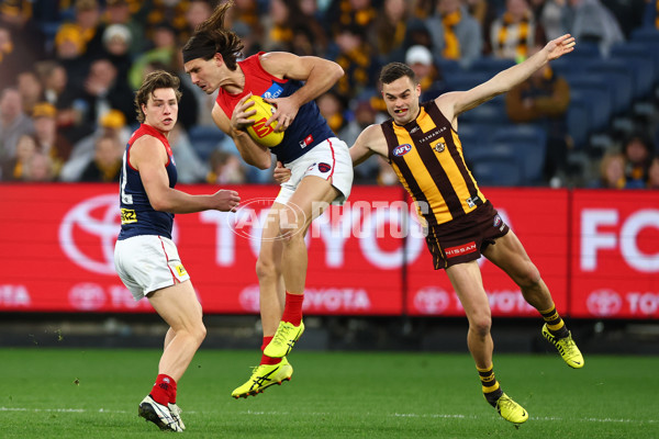 AFL 2025 Round 23 - Hawthorn v Melbourne - A-61421197
