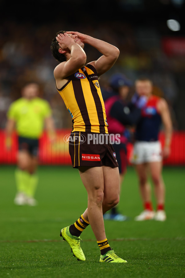 AFL 2025 Round 23 - Hawthorn v Melbourne - A-61421229