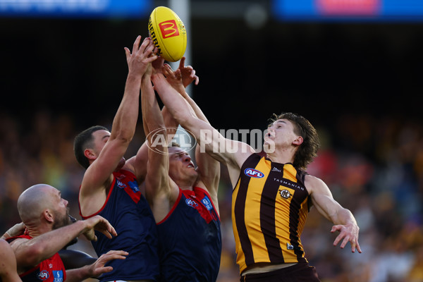 AFL 2025 Round 23 - Hawthorn v Melbourne - A-61421671