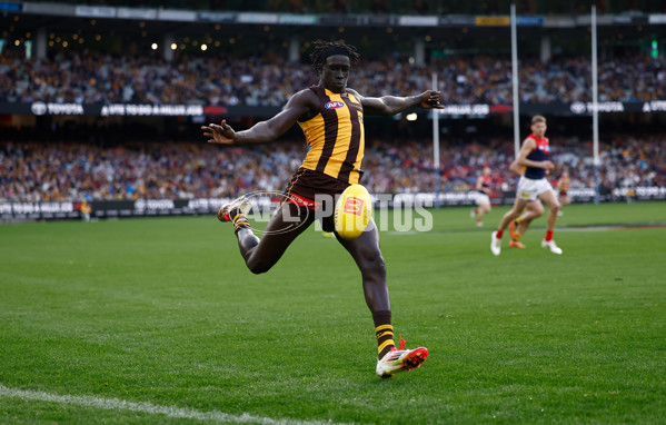 AFL 2025 Round 23 - Hawthorn v Melbourne - A-61421672