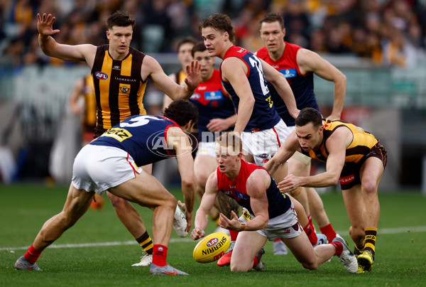 AFL 2025 Round 23 - Hawthorn v Melbourne - A-61421686