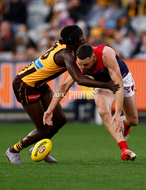AFL 2025 Round 23 - Hawthorn v Melbourne - A-61421701