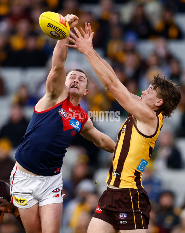 AFL 2025 Round 23 - Hawthorn v Melbourne - A-61421702