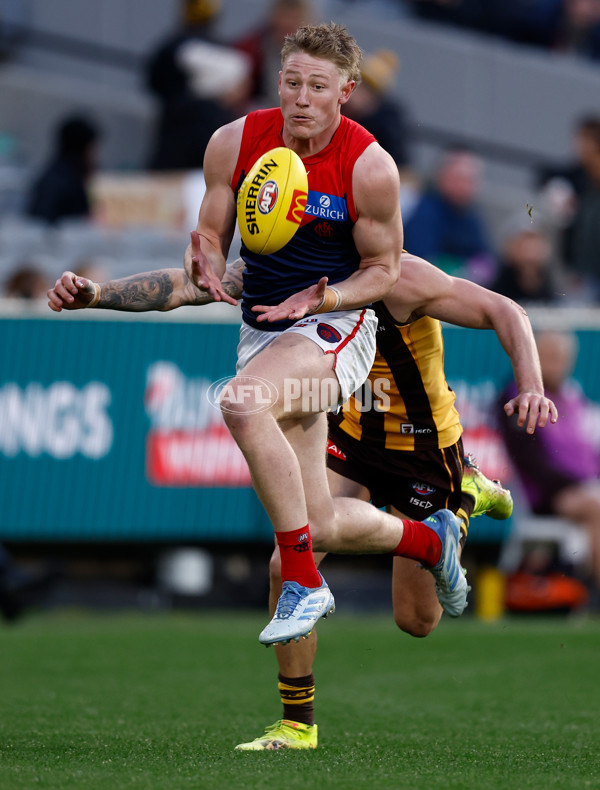 AFL 2025 Round 23 - Hawthorn v Melbourne - A-61421710