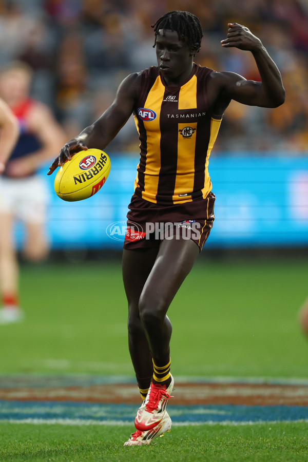 AFL 2025 Round 23 - Hawthorn v Melbourne - A-61421715