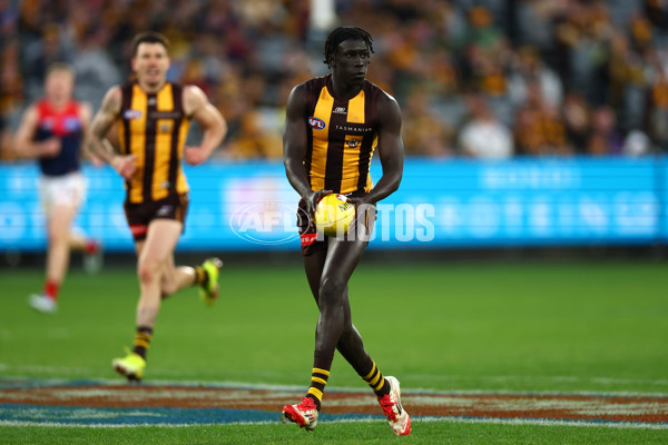 AFL 2025 Round 23 - Hawthorn v Melbourne - A-61421716