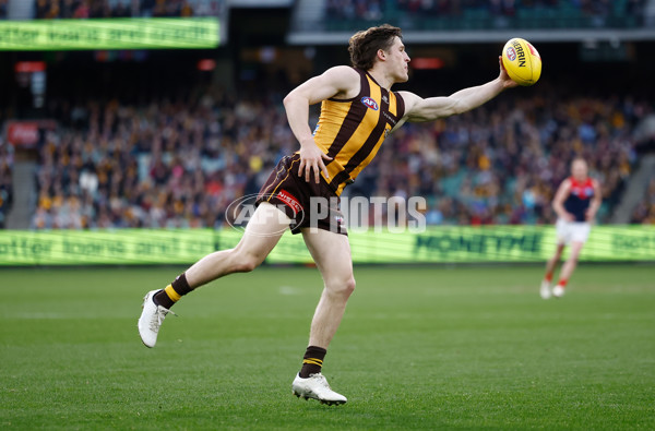AFL 2025 Round 23 - Hawthorn v Melbourne - A-61424001