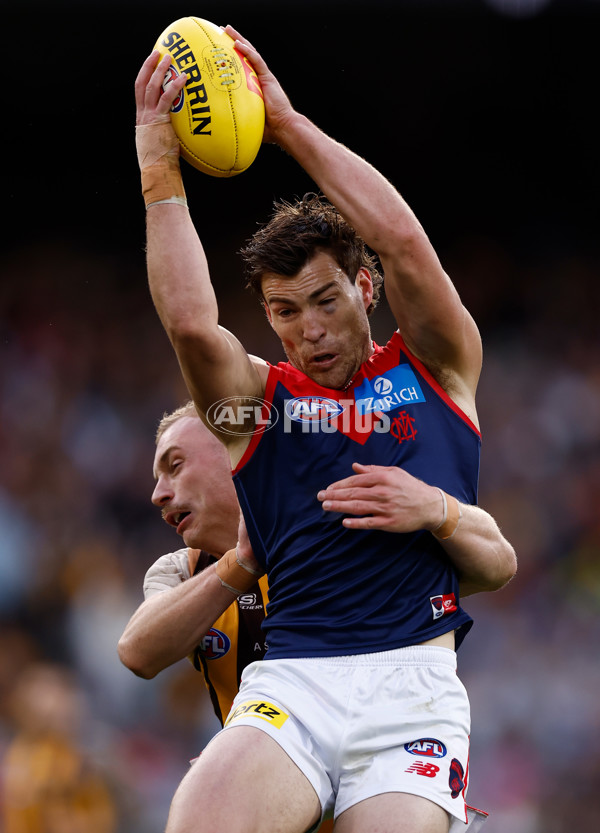 AFL 2025 Round 23 - Hawthorn v Melbourne - A-61424287