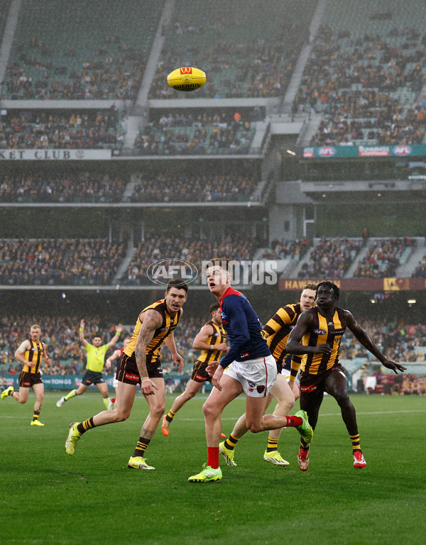 AFL 2025 Round 23 - Hawthorn v Melbourne - A-61424317