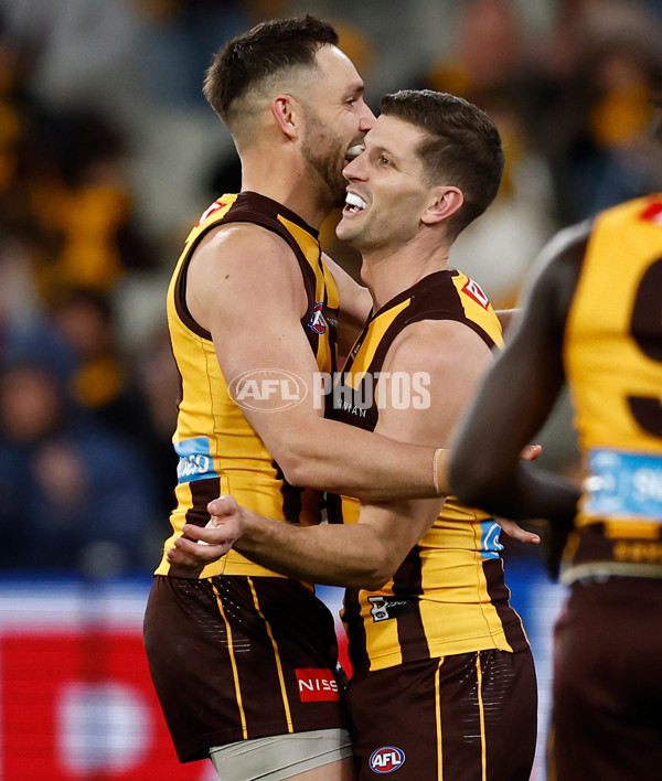 AFL 2025 Round 23 - Hawthorn v Melbourne - A-61426793