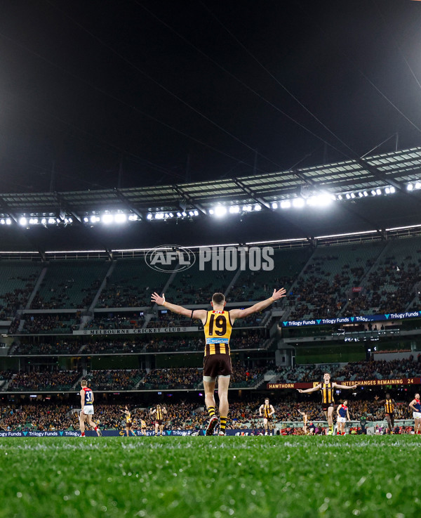 AFL 2025 Round 23 - Hawthorn v Melbourne - A-61426805