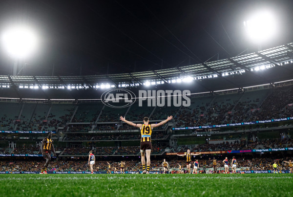 AFL 2025 Round 23 - Hawthorn v Melbourne - A-61426809