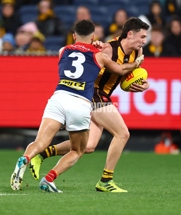 AFL 2025 Round 23 - Hawthorn v Melbourne - A-61426862