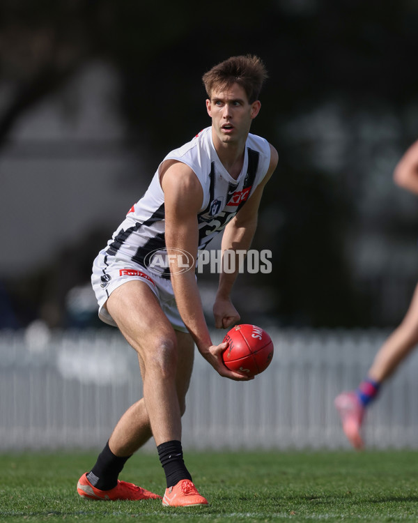 VFL 2025 Round 21 - Port Melbourne v Collingwood - A-61426865