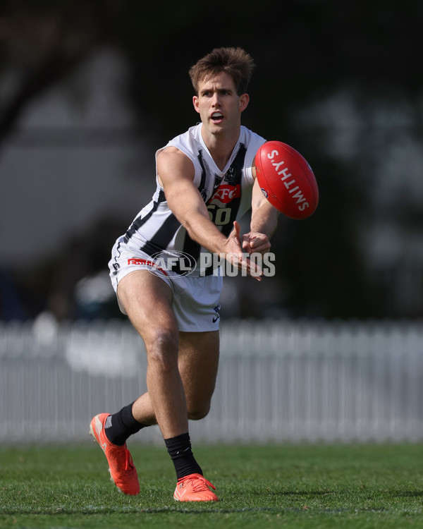 VFL 2025 Round 21 - Port Melbourne v Collingwood - A-61426869