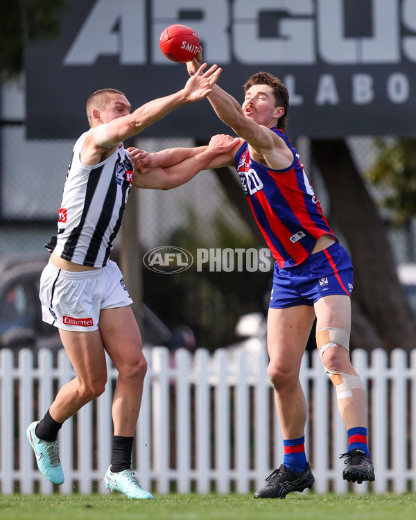 VFL 2025 Round 21 - Port Melbourne v Collingwood - A-61426870