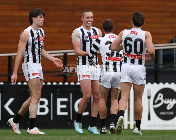 VFL 2025 Round 21 - Port Melbourne v Collingwood - A-61426875