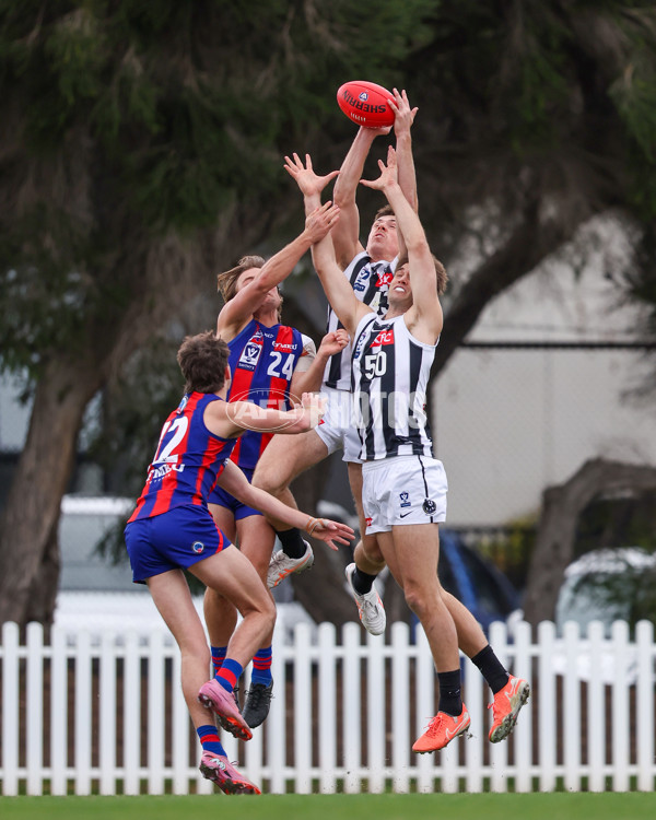 VFL 2025 Round 21 - Port Melbourne v Collingwood - A-61426876