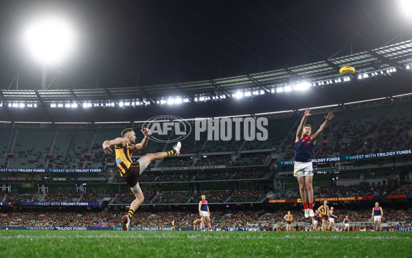 AFL 2025 Round 23 - Hawthorn v Melbourne - A-61426903
