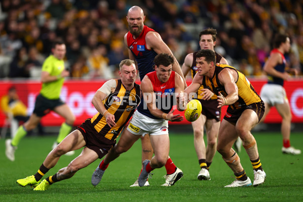 AFL 2025 Round 23 - Hawthorn v Melbourne - A-61426905