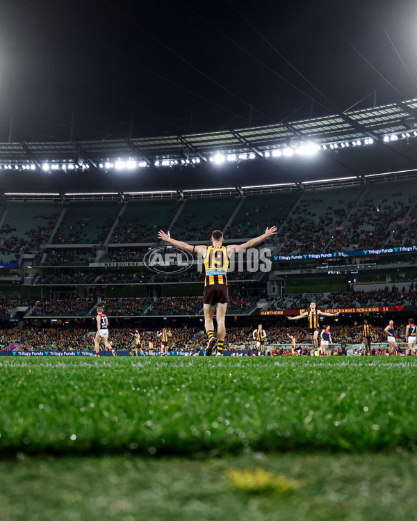 AFL 2025 Round 23 - Hawthorn v Melbourne - A-61426913