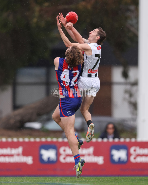 VFL 2025 Round 21 - Port Melbourne v Collingwood - A-61426950