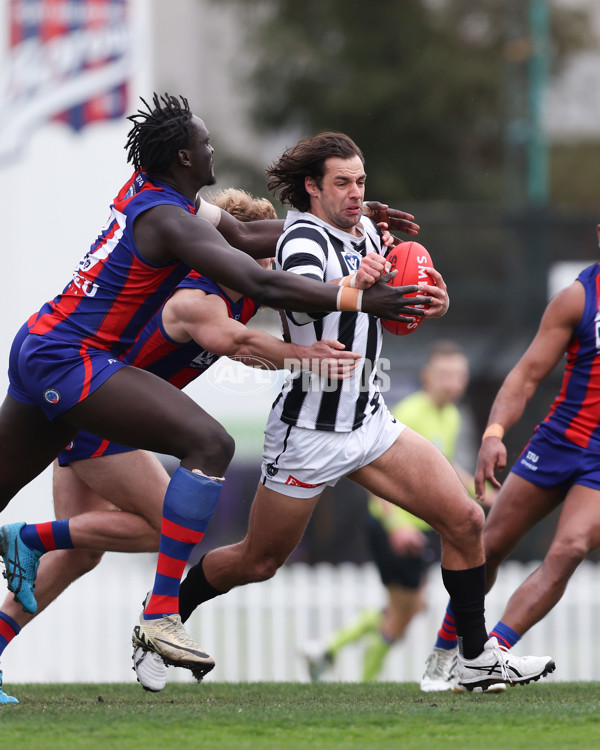 VFL 2025 Round 21 - Port Melbourne v Collingwood - A-61426952