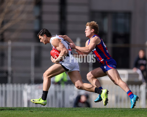 VFL 2025 Round 21 - Port Melbourne v Collingwood - A-61426953