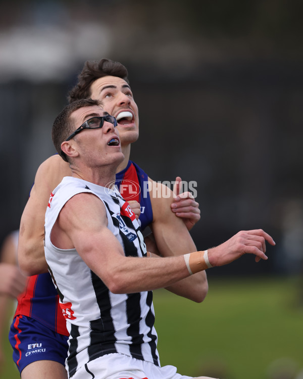 VFL 2025 Round 21 - Port Melbourne v Collingwood - A-61426954