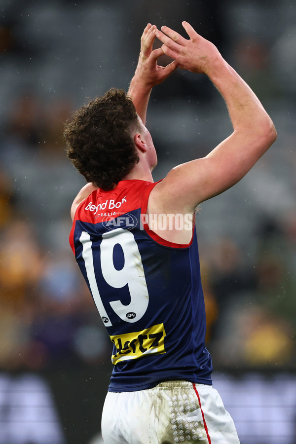AFL 2025 Round 23 - Hawthorn v Melbourne - A-61426982