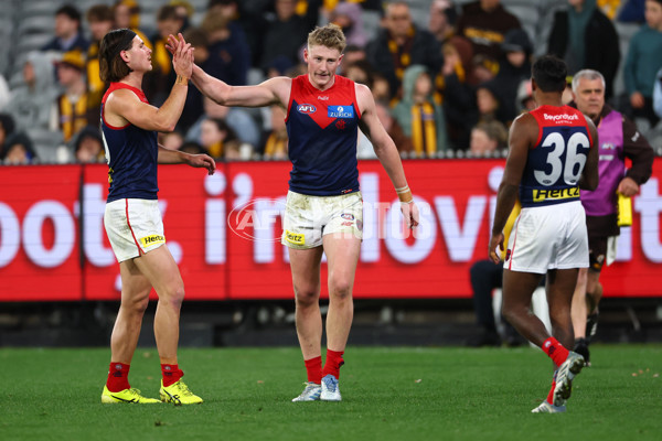 AFL 2025 Round 23 - Hawthorn v Melbourne - A-61429222
