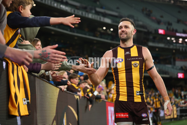 AFL 2025 Round 23 - Hawthorn v Melbourne - A-61429287