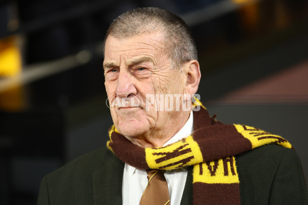 AFL 2025 Round 23 - Hawthorn v Melbourne - A-61429684