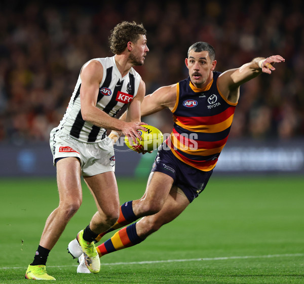 AFL 2025 Round 23 - Adelaide v Collingwood - A-61432019