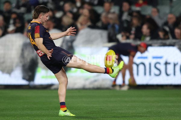 AFL 2025 Round 23 - Adelaide v Collingwood - A-61432549