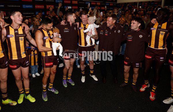 AFL 2025 Round 23 - Hawthorn v Melbourne - A-61432577