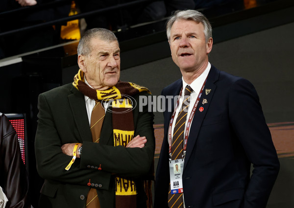 AFL 2025 Round 23 - Hawthorn v Melbourne - A-61432580