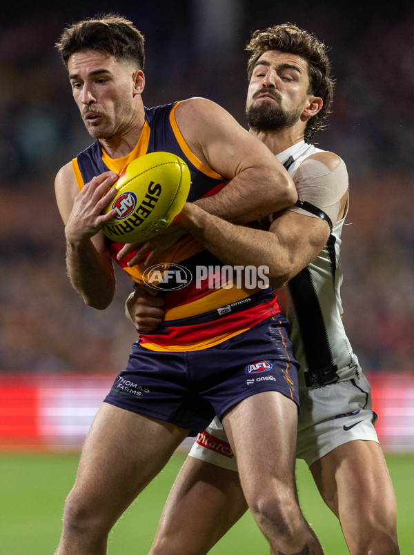 AFL 2025 Round 23 - Adelaide v Collingwood - A-61434700