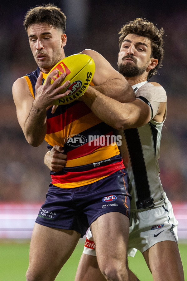 AFL 2025 Round 23 - Adelaide v Collingwood - A-61434701