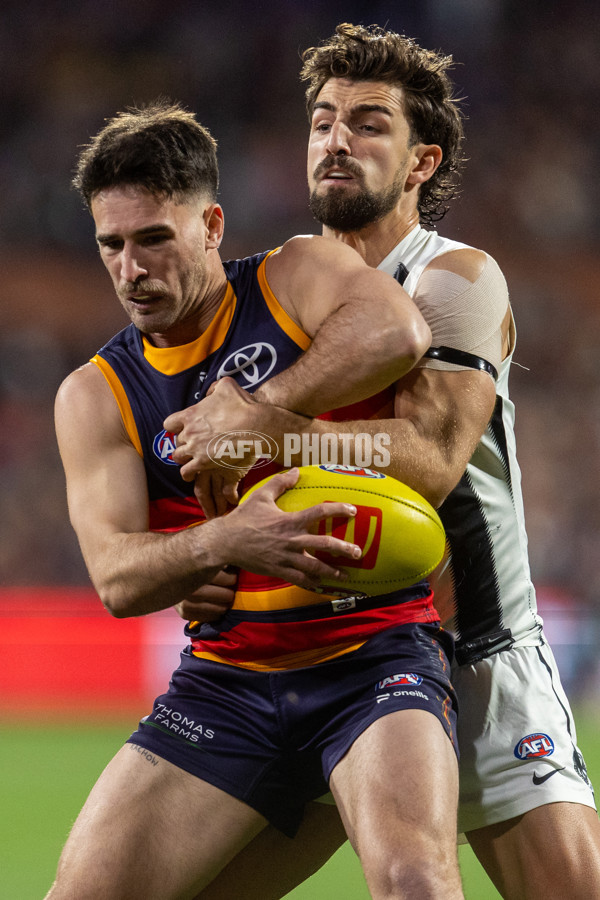AFL 2025 Round 23 - Adelaide v Collingwood - A-61434702